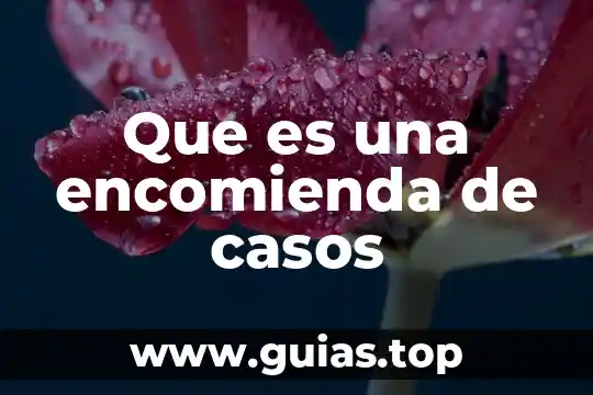 Seleccion de casos que es 3 Que es una encomienda de casos