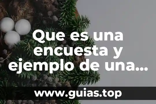 Que es una encuesta ejemplo para niños 8 Que es una encuesta y ejemplo de una encuesta