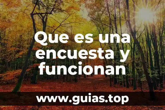 Que es una encuesta ejemplo para niños 4 Que es una encuesta y funcionan