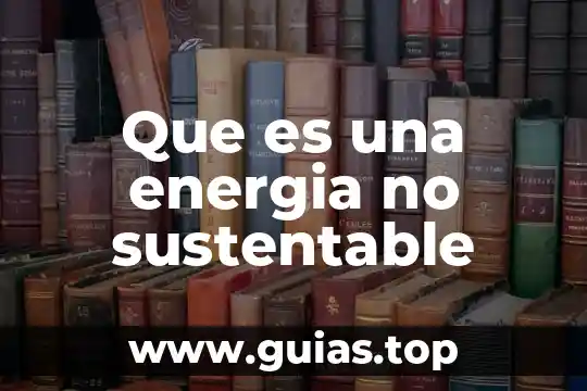Que es la cumbre mundial sobre el desarrollo sustentable 3 Que es una energia no sustentable