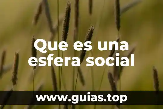 Que es organizacion politica y social de los toltecas 4 Que es una esfera social
