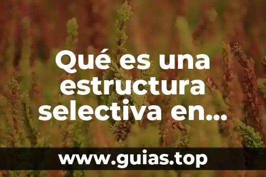Qué es un texto oculto en informática 8 Qué es una estructura selectiva en informática
