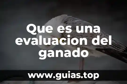 Que es evaluacion y los tipos 5 Que es una evaluacion del ganado