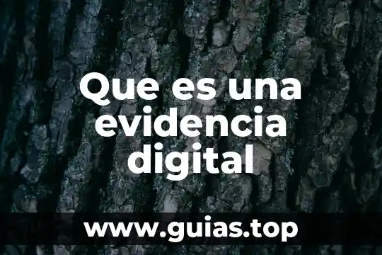 Que es la firma digital en los controladores de dispositivos 6 Que es una evidencia digital