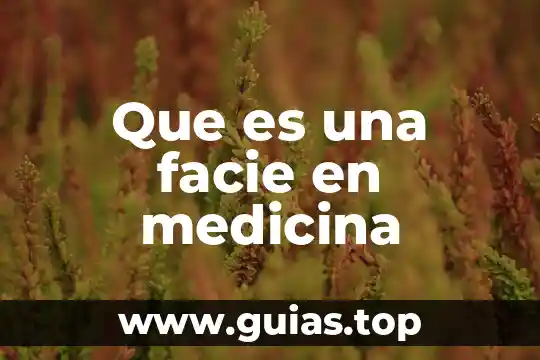 Qué es la meditación qué tipos de meditación hay 4 Que es una facie en medicina