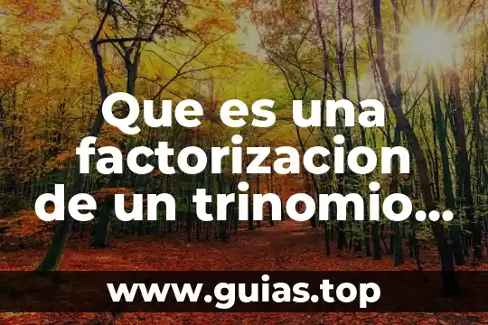 Qué es un número cuadrado perfecto 4 Que es una factorizacion de un trinomio cuadrado perfecto