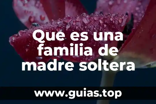 Planta mala madre de que es la planta 4 Que es una familia de madre soltera