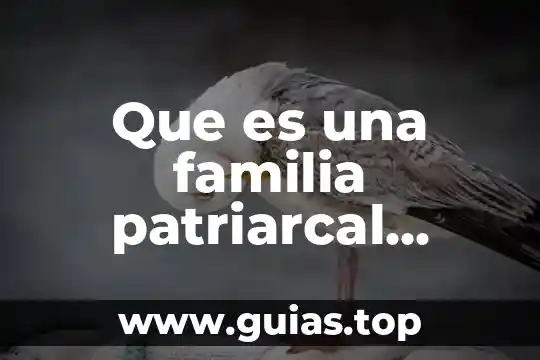 Que es un eje de simetria del agua 8 Que es una familia patriarcal biología