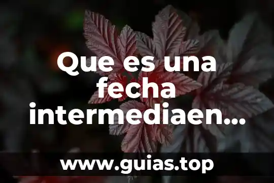 Qué es una palmera árbol o planta 6 Que es una fecha intermediaen contabilidad