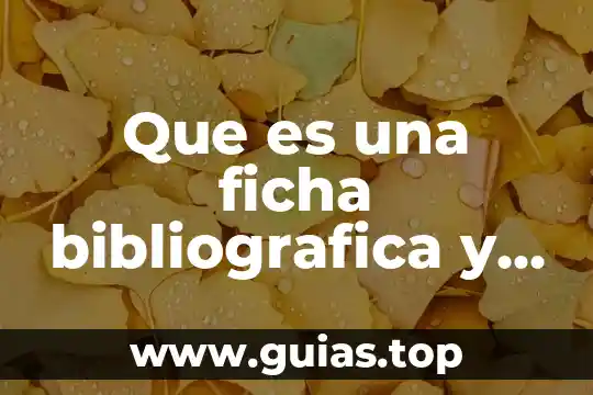 Qué es filosofía y cuáles son sus características 8 Que es una ficha bibliografica y cuales son sus elementos