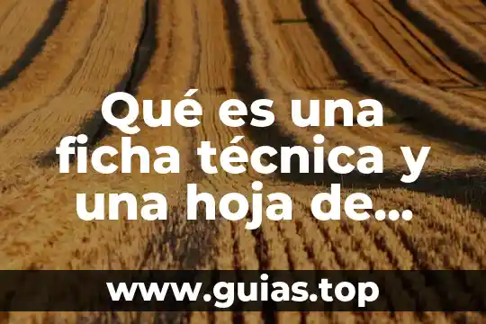 Que es la tecnica juridica concepto 5 Qué es una ficha técnica y una hoja de seguridad