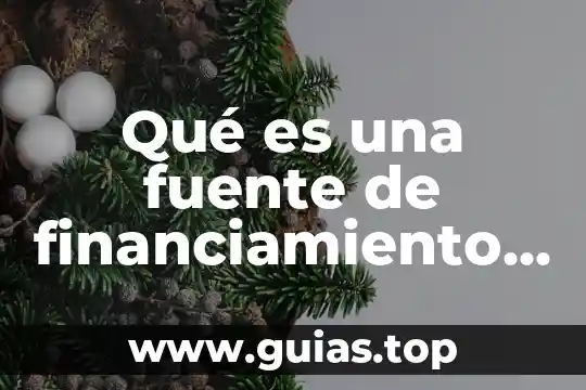 Que es un principio y sus caracteristicas 6 Qué es una fuente de financiamiento y sus características