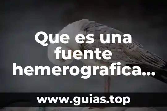 Qué es un reporte y tipos 8 Que es una fuente hemerografica y sus tipos