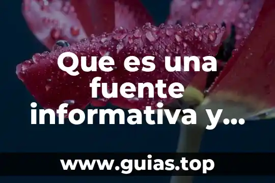 Que es una capsua informativa 7 Que es una fuente informativa y sus tipos