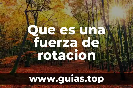 Que es una fuerza tipos y efectos sobre los objetos 5 Que es una fuerza de rotacion