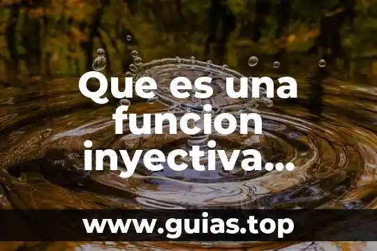 Qué es el agua saludable 6 Que es una funcion inyectiva matematicas