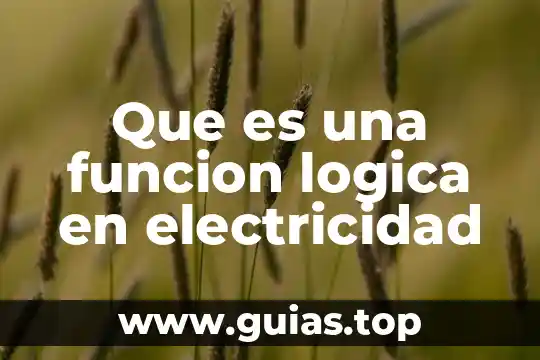 Qué es una genesis en lógica 8 Que es una funcion logica en electricidad