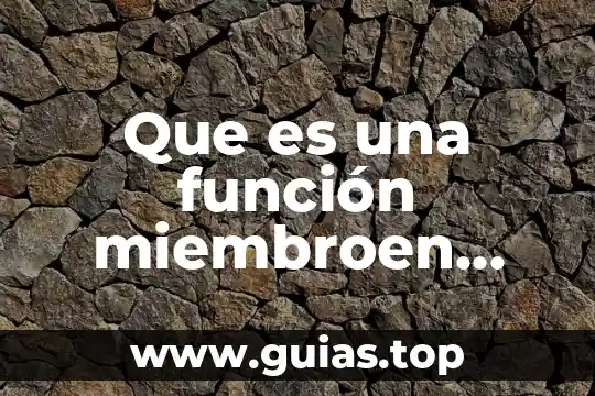 Que es una funcion y como se simboliza 8 Que es una función miembroen poo