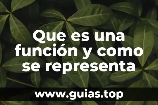 Qué es el número de Avogadro y cómo se representa 6 Que es una función y como se representa