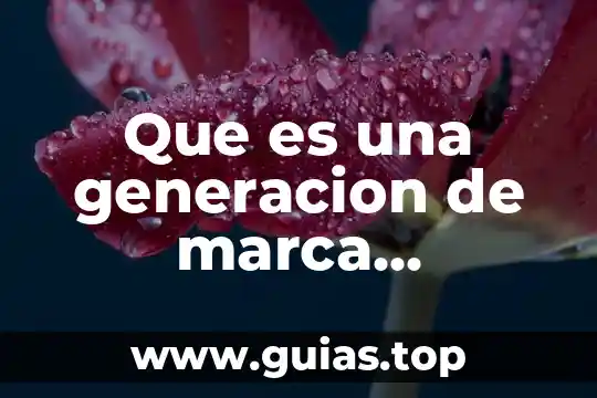 Que es el provedor de servicios de internet 3 Que es una generacion de marca concepto