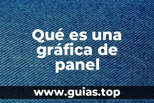 Qué es una gráfica de panel