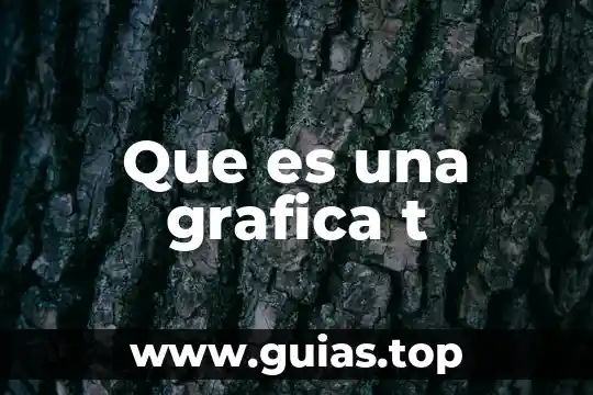 Que es concepto grafica de poligono de trabajo 3 Que es una grafica t
