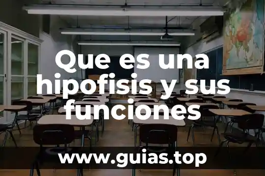 Que es la cnsf y sus funciones 5 Que es una hipofisis y sus funciones