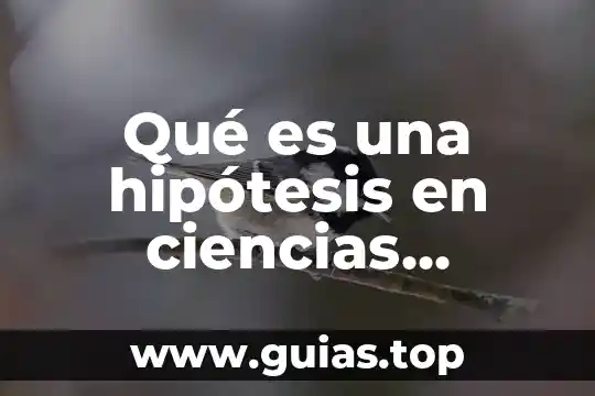Define que es el sujeto cognoscente ciencias sociales 7 Qué es una hipótesis en ciencias sociales