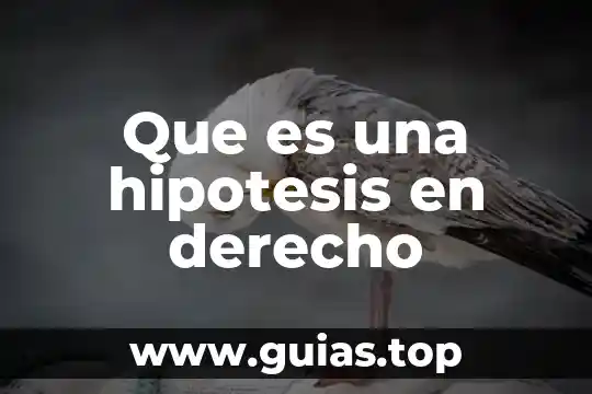 Hipótesis de acción que es 5 Que es una hipotesis en derecho