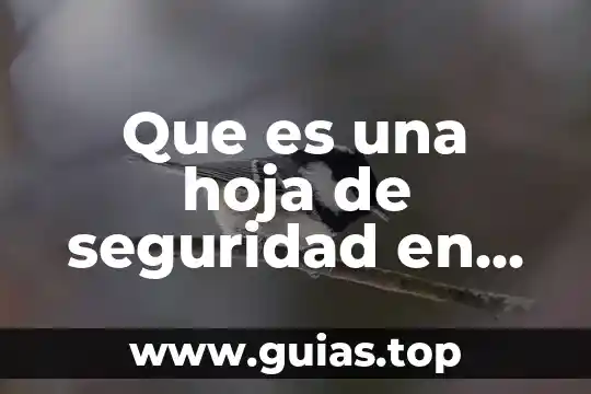 Que es ser top en lol 4 Que es una hoja de seguridad en los reactivos químicos