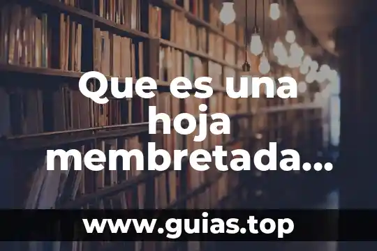 Que es una empresa hotelera concepto 6 Que es una hoja membretada con caracteristicas de la empresa
