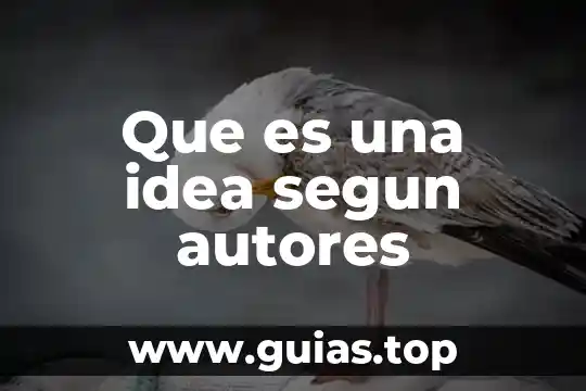 Que es una evaluación autentica concepto por autores 6 Que es una idea segun autores