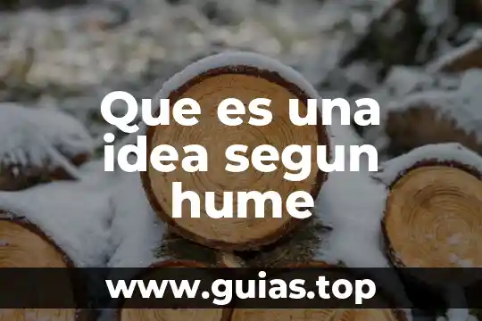 Qué es la muerte según 3 Que es una idea segun hume