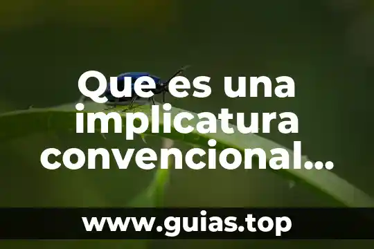 Cómo supones que es el interior del sol 4 Que es una implicatura convencional en logica