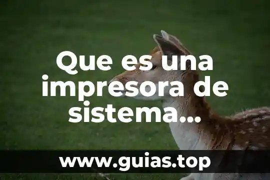 Que es n macro en word 7 Que es una impresora de sistema continuo