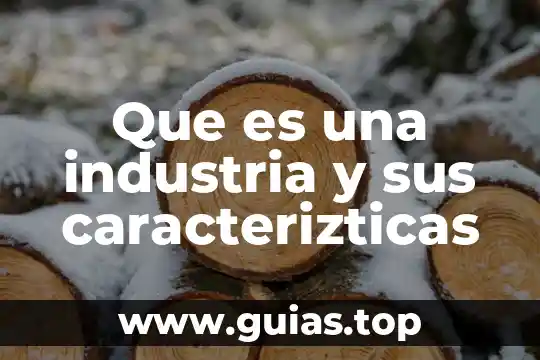 Que es un viaje y la industria de viaje 6 Que es una industria y sus caracterizticas