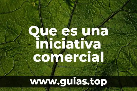 Que es una union comercial 4 Que es una iniciativa comercial