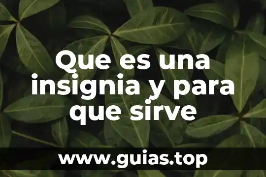 Qué es Canva para qué sirve 6 Que es una insignia y para que sirve
