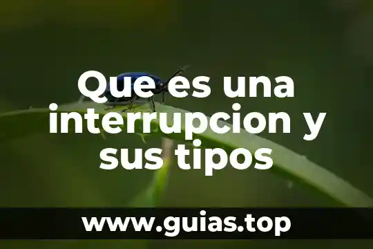 Que es una piedra personalizada diferentes tipos 7 Que es una interrupcion y sus tipos