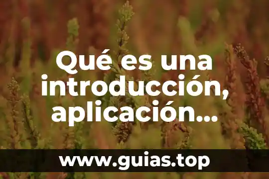 Que es petrolizacion definicion 3 Qué es una introducción, aplicación, celdas o definición