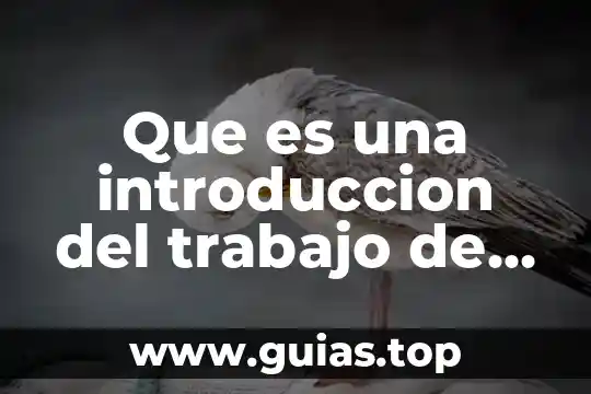 Para que es importante saber la concentración de un compuesto 6 Que es una introduccion del trabajo de las papas
