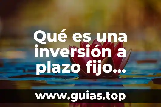 Concepto que es desarrollo 6 Qué es una inversión a plazo fijo concepto