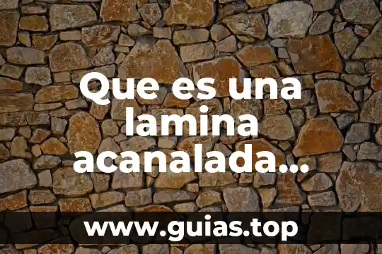 Que es un apodo yahoo 7 Que es una lamina acanalada yahoo