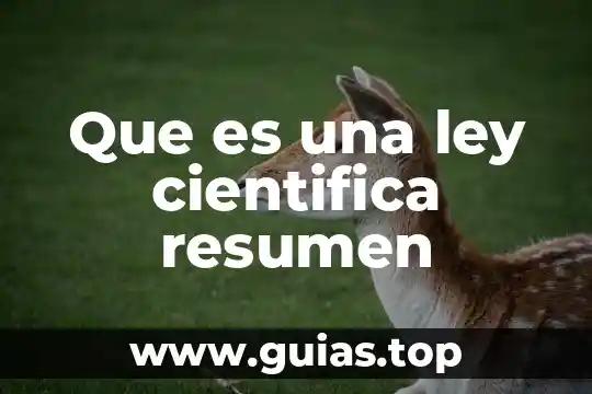 Que es resumen ejecutivo de agronegocios 3 Que es una ley cientifica resumen