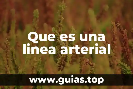 Que es una linea arterial