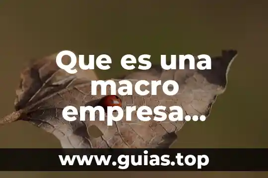 Que es ser catalizador en una empresa 3 Que es una macro empresa definicion