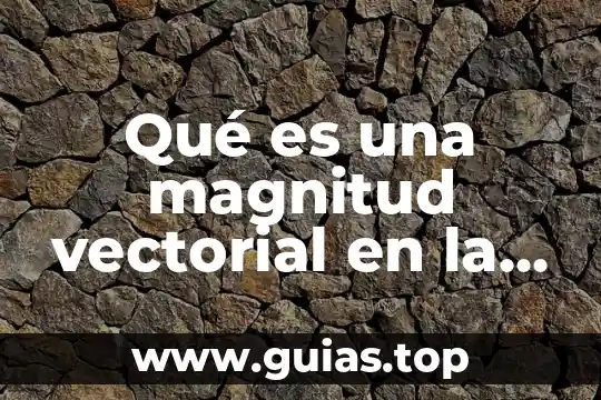 Que es compuesto en fisica 6 Qué es una magnitud vectorial en la física