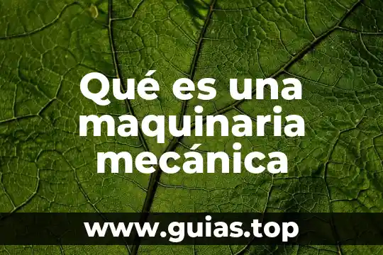 Candidato no sabe que es lgbttti y les promete maquinaria 7 Qué es una maquinaria mecánica