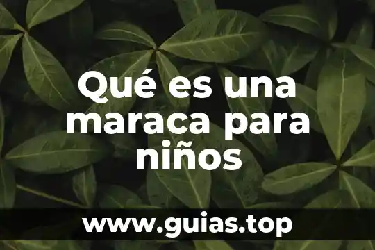 Qué es una erupción volcánica definición para niños 3 Qué es una maraca para niños