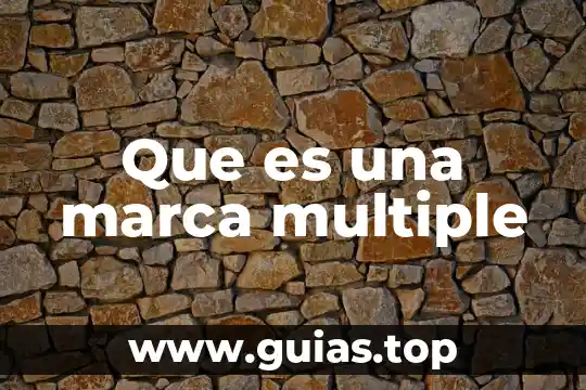 Que es el brand essence o esencia de marca 4 Que es una marca multiple